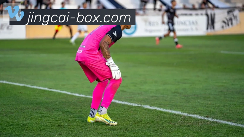 竞彩网首页荣誉